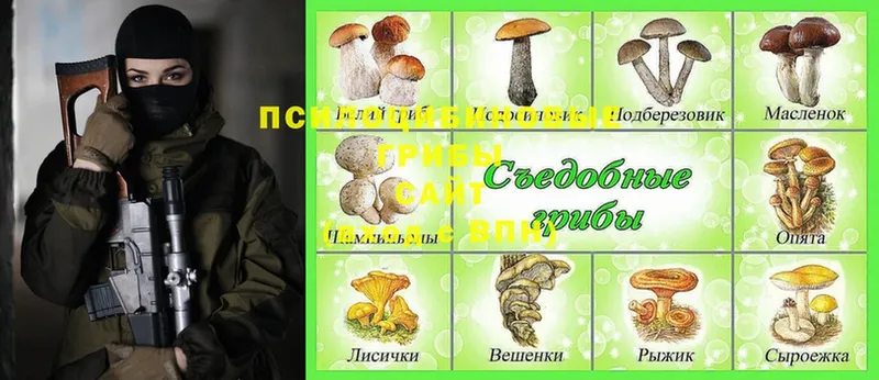 Псилоцибиновые грибы GOLDEN TEACHER  Фролово 